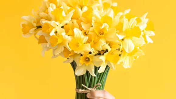 ¿Ya te llegó tu ramo? Es 21 de septiembre y las flores amarillas se vuelven las protagonistas del día
