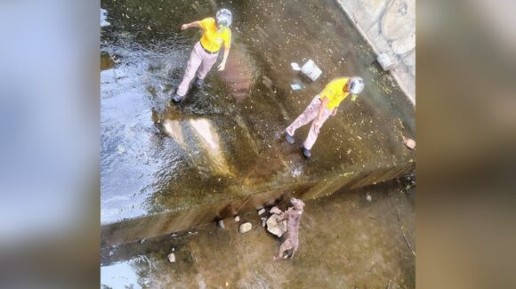 ¡Al rescate! Protección Civil salva a perrito atrapado en un canal de Mazatlán, Sinaloa