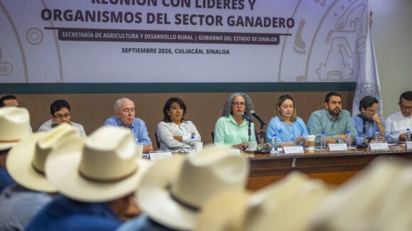 El gusano barrenador y créditos, temas en reunión de titular de la Sader con sector ganadero en Sinaloa
