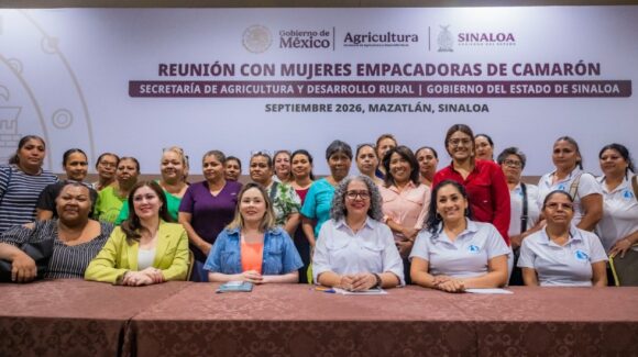Anuncian proyectos de emprendimiento para mujeres empacadoras de camarón en Mazatlán, anuncian Gobierno de Sinaloa y Sader