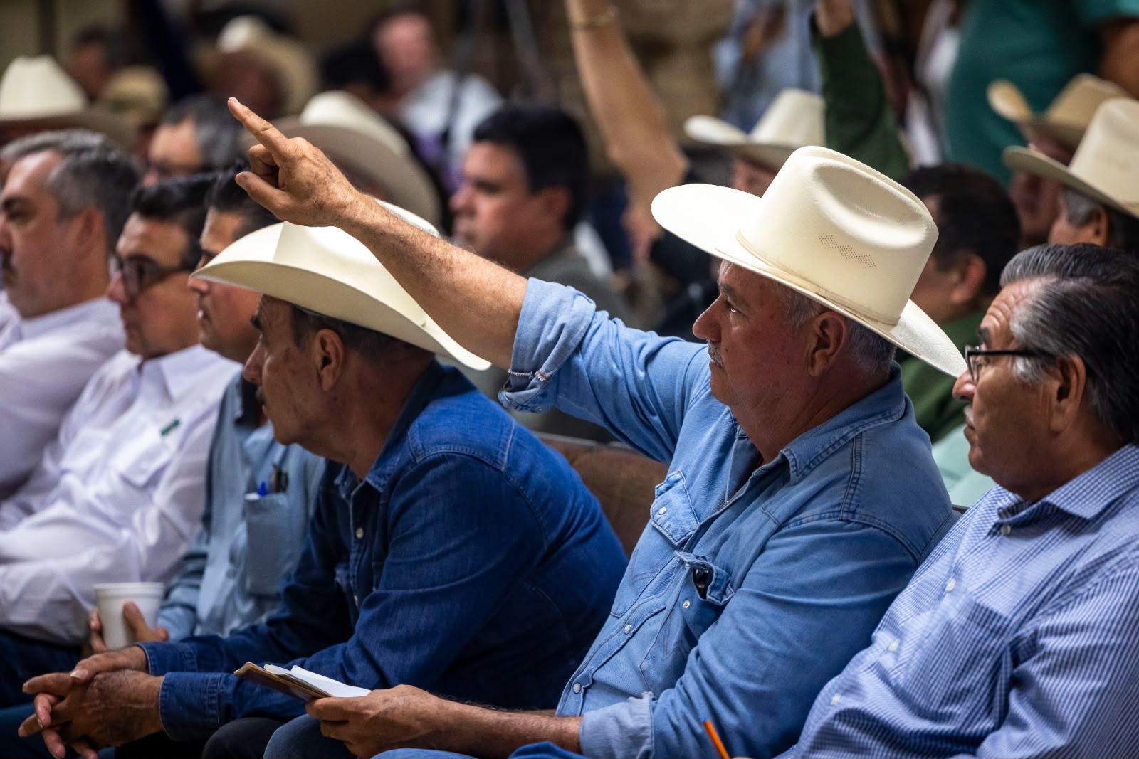Reunión entre Columba López, titular de la Sader, y productores de Sinaloa
