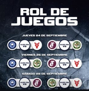 Rol de juegos