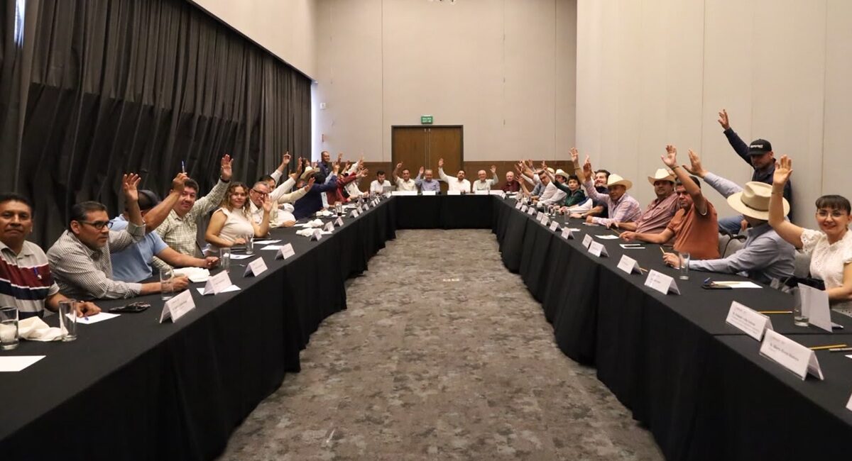 Liderazgos agrícolas agradecen el apoyo de la presidenta Claudia Sheinbaum, y reiteran su disposición para construir acuerdos
