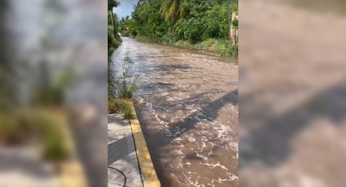 Se sale el mar en Altata; agua salada invade calles de la sindicatura de Navolato, Sinaloa