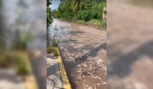 Se sale el mar en Altata; agua salada invade calles de la sindicatura de Navolato, Sinaloa
