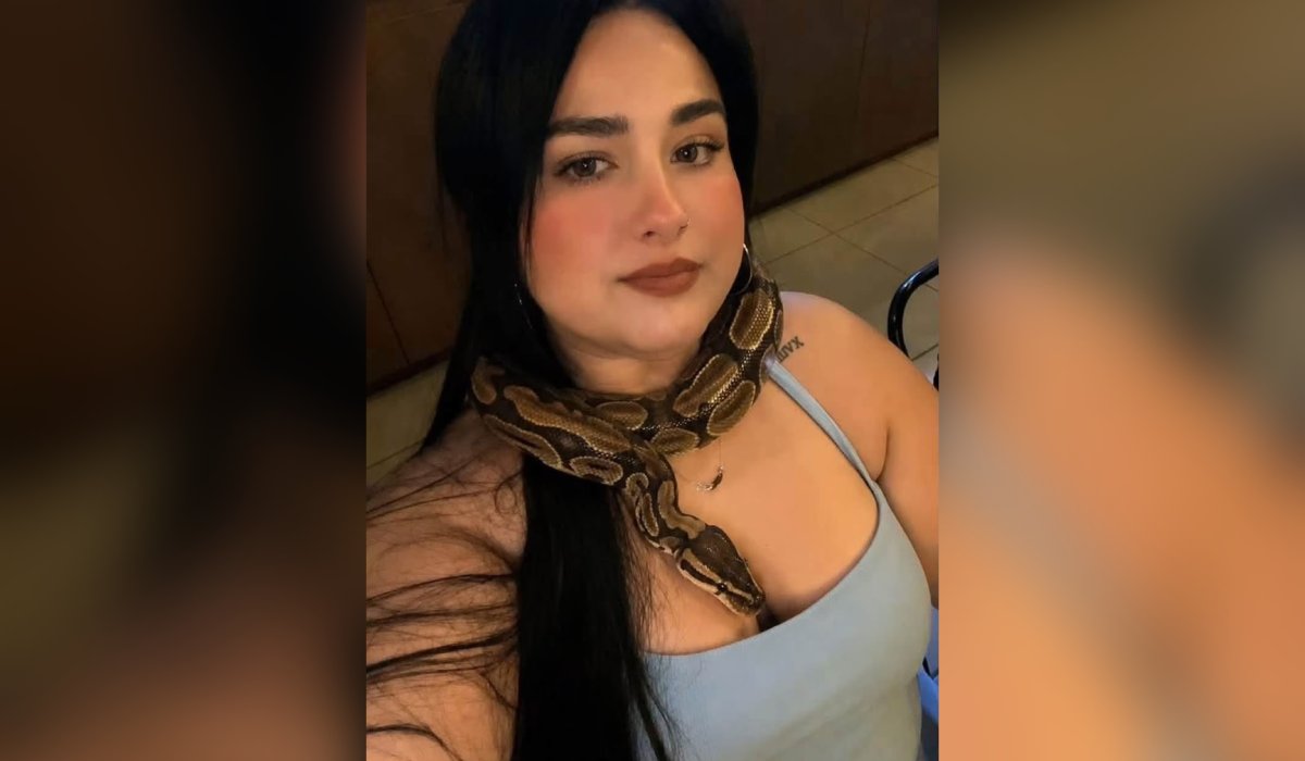 Serpiente extraviada en Mazatlán