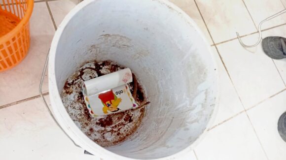 ¡Tremendo susto se llevan alumnos del kínder Moisés Sáenz! Serpiente ingresa a un aula; PC de Ahome atendió la emergencia