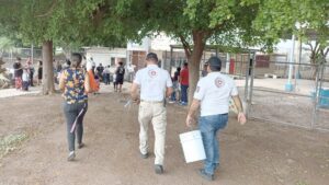 serpiente localizada en un salon de un kinder en los mochis pc