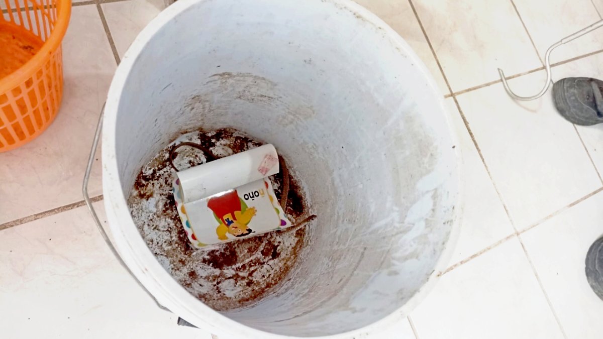 serpiente localizada en un salon de un kinder en los mochis