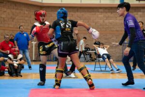 Artes marciales