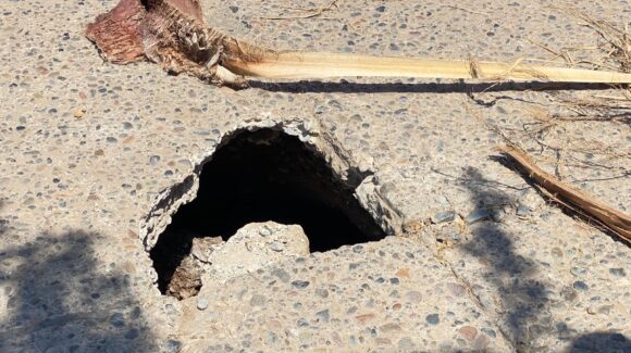 Detectan nuevo socavón en la calle Álvaro Obregón en Guasave; reparación podría quedar lista en tres días