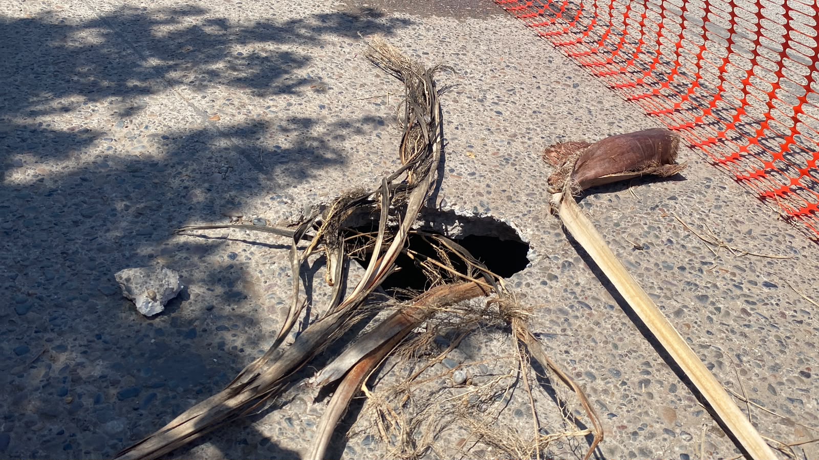 Socavón en Guasave