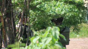 sujetos armados atacan a balazos un domicilio en la colonia flores magon en mazatlan elemento
