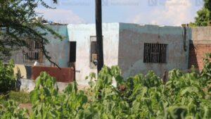 sujetos armados atacan a balazos un domicilio en la colonia flores magon en mazatlan sin