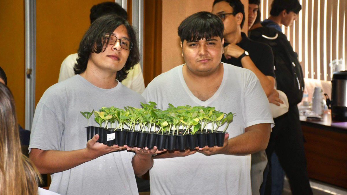 uas impulsa huertos sustentables entre estudiantes de mazatlan