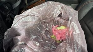 vehiculo asegurado en mazatlan droga