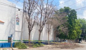 Vientos de hasta 130 km/h derriban árboles y postes; varias comunidades de Guasave siguen sin luz