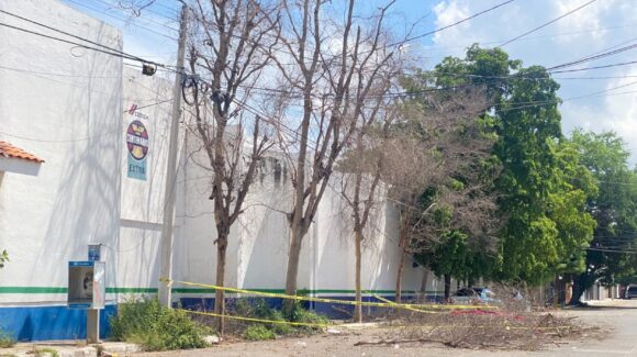 Vientos de hasta 130 km/h derriban árboles y postes; varias comunidades de Guasave siguen sin luz