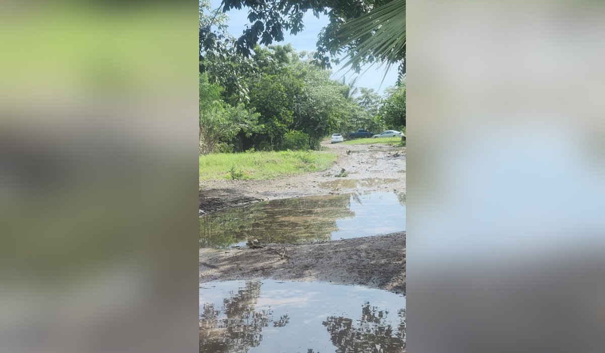 Vientos fuertes dejan daños materiales en Escuinapa