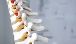Día Mundial de la Columna Vertebral: ¿Por qué se conmemora y cómo cuidar la espalda?