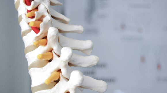 Día Mundial de la Columna Vertebral: ¿Por qué se conmemora y cómo cuidar la espalda?