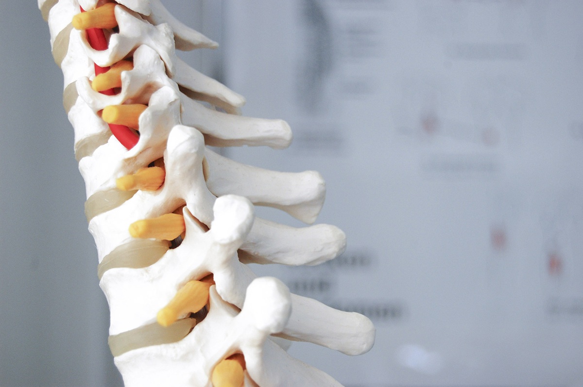 16 de Octubre, Día Mundial de la Columna Vertebral