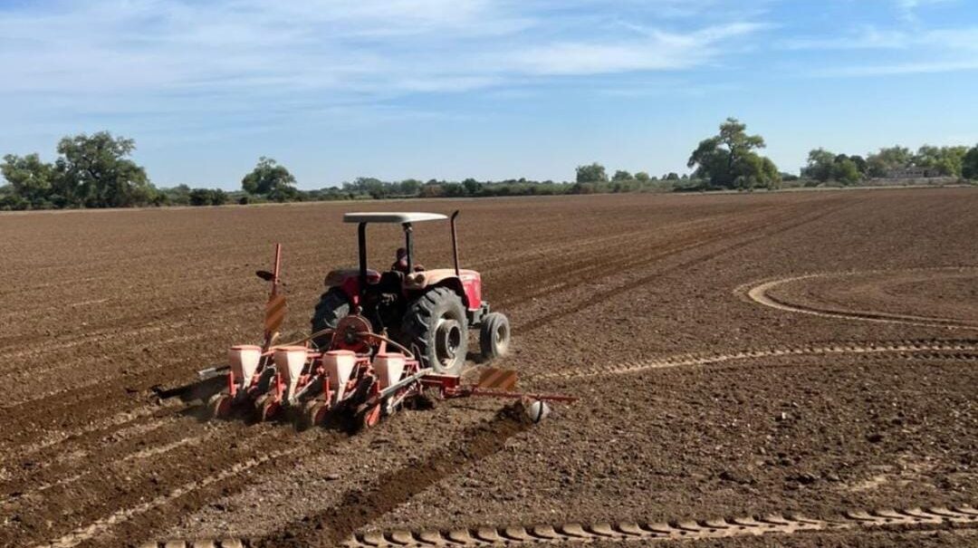 Agricultura en Sinaloa