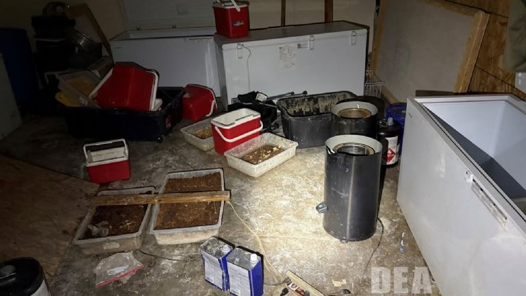 Arrestan a cinco sinaloenses tras desmantelamiento de laboratorio de metanfetamina en California