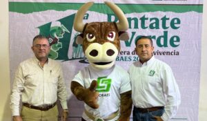 Cobaes espera reunir a más de 2 mil participantes en la carrera “Píntate de Verde 2026” en Guasave, Sinaloa