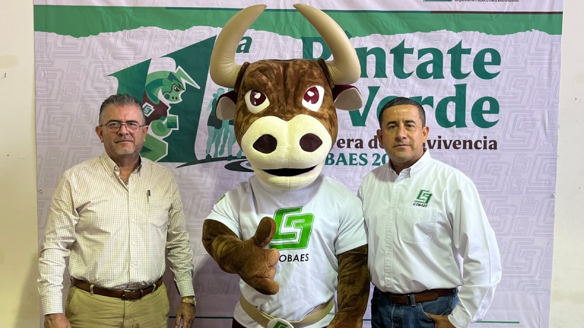 Cobaes guasave espera reunir a mas de 2 mil participantes en la carrera pintate de verde 2026
