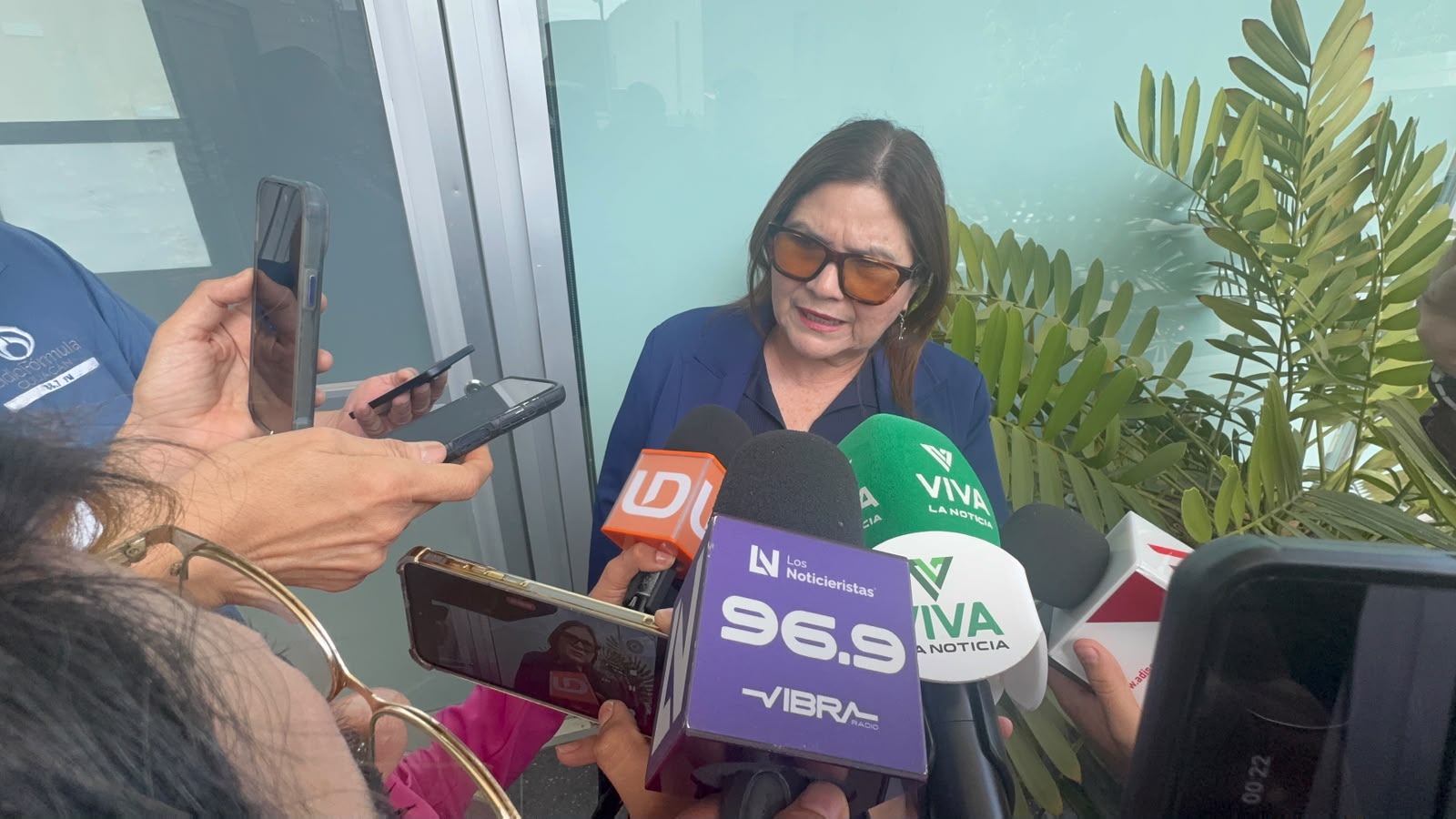 Imelda Castro se reune con diputados de Morena