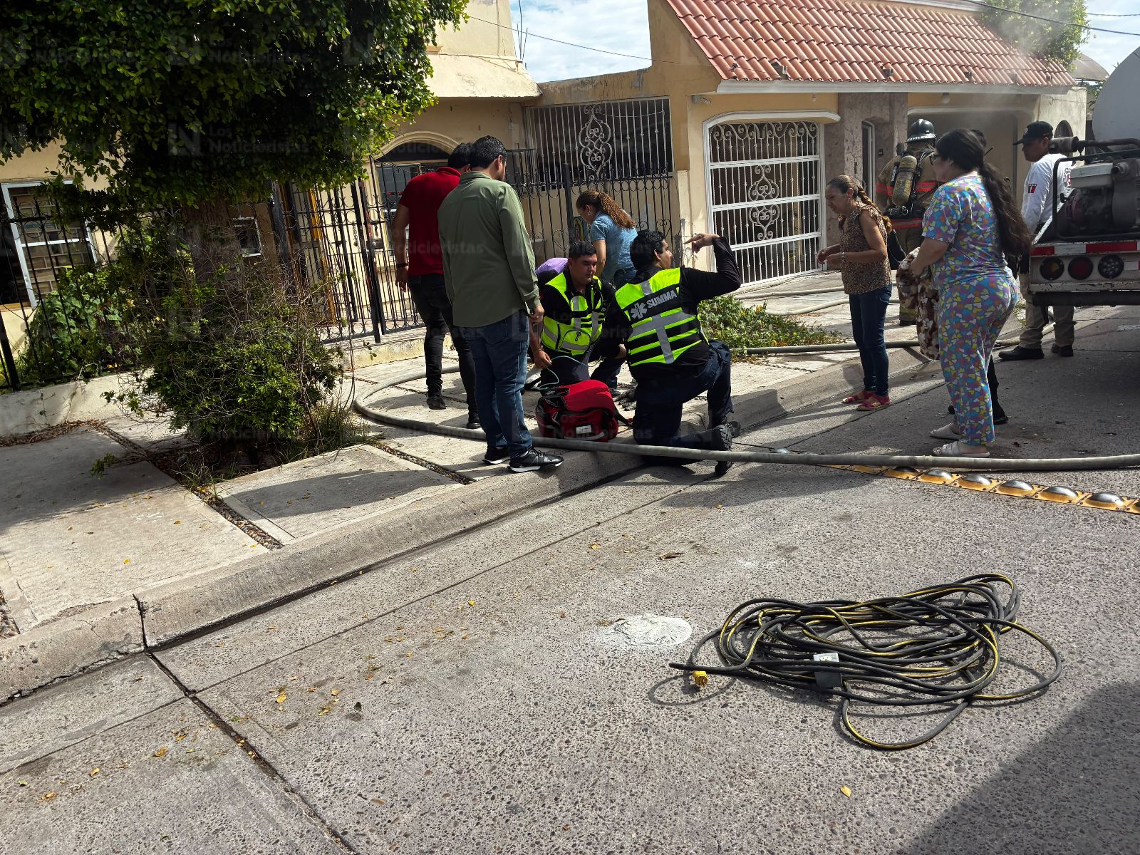 Rescatan a gatitos tras incendio en Los Mochis