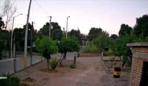 Tremenda sacudida despierta a choicenses; se registró temblor de 4.3 grados este domingo