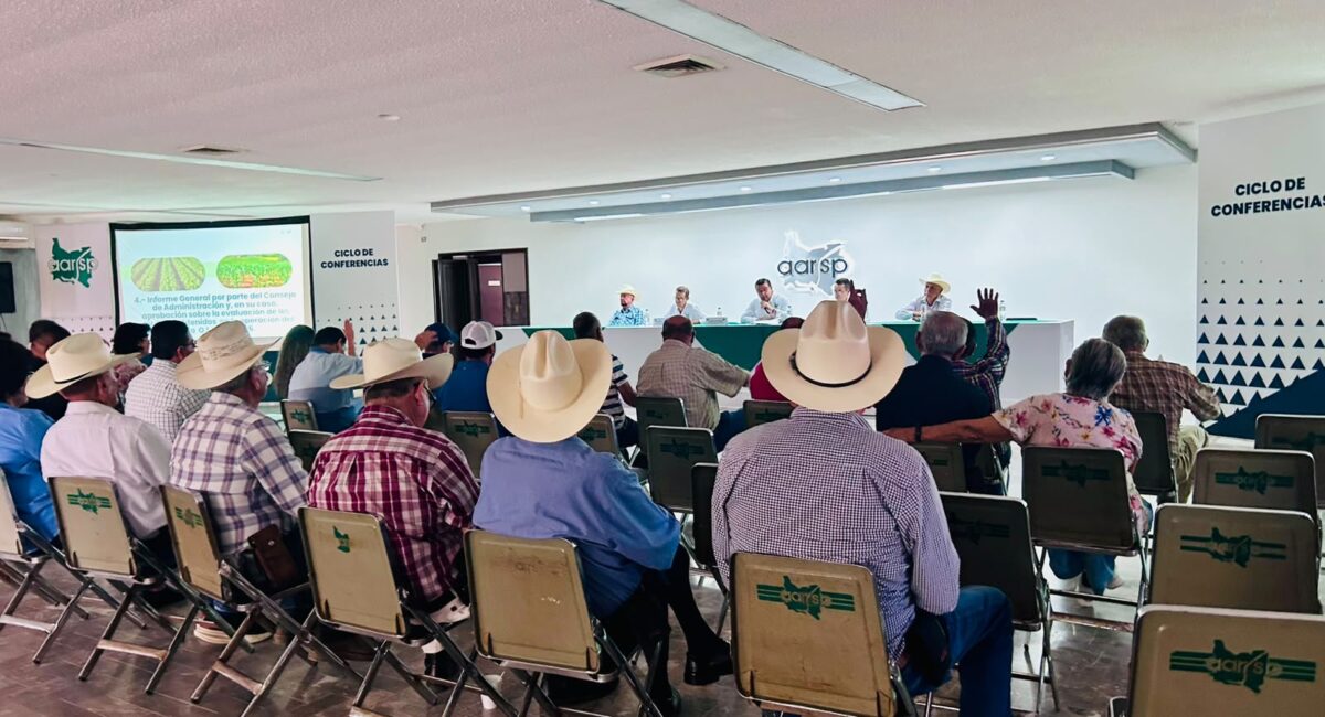 Reciben apoyos federales 93% de productores que entregaron maíz en bodegas de la AARSP, en Guasave