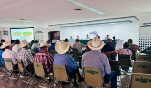Reciben apoyos federales 93% de productores que entregaron maíz en bodegas de la AARSP, en Guasave