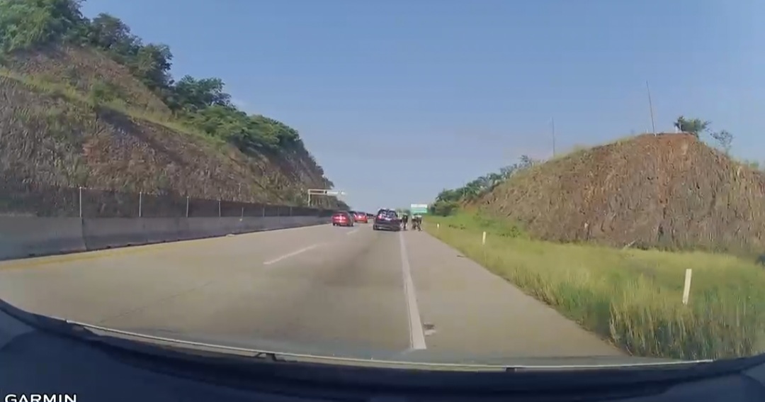 Accidente entre camioneta y ciclistas en la Mazatlán-Culiacán, Sinaloa