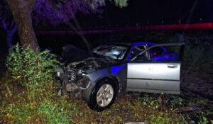 Abandonan automóvil tras salirse de la México 15 y chocar contra un árbol en Guasave, Sinaloa