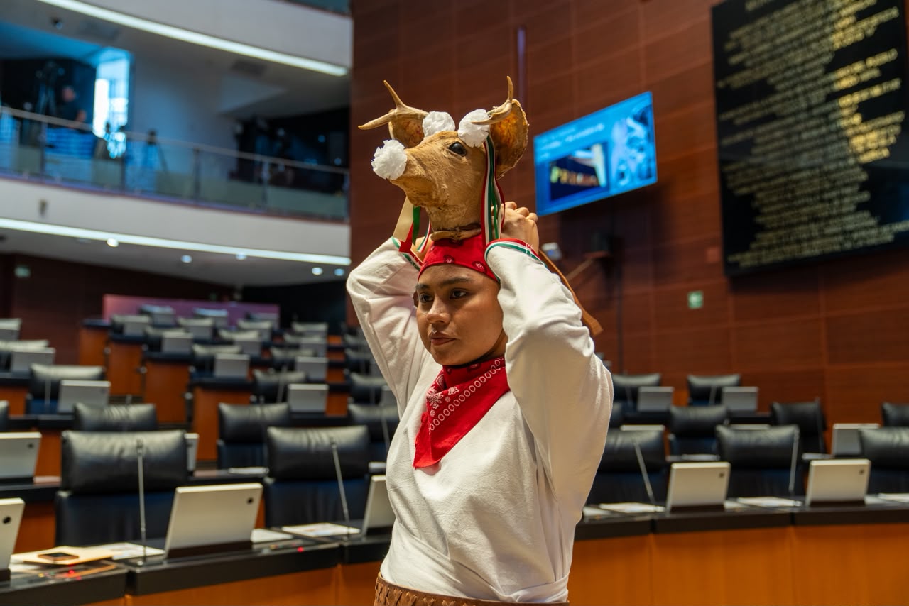 Alexia Anahí comparte la cultura yoreme en el Senado de la República