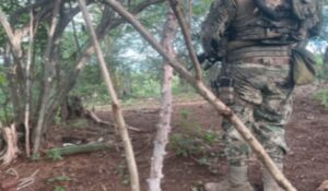 Aseguran 23 artefactos explosivos improvisados en Escuinapa y Mazatlán, Sinaloa