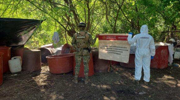 Localizan e inhabilitan laboratorio clandestino para fabricar drogas sintéticas en Elota, Sinaloa