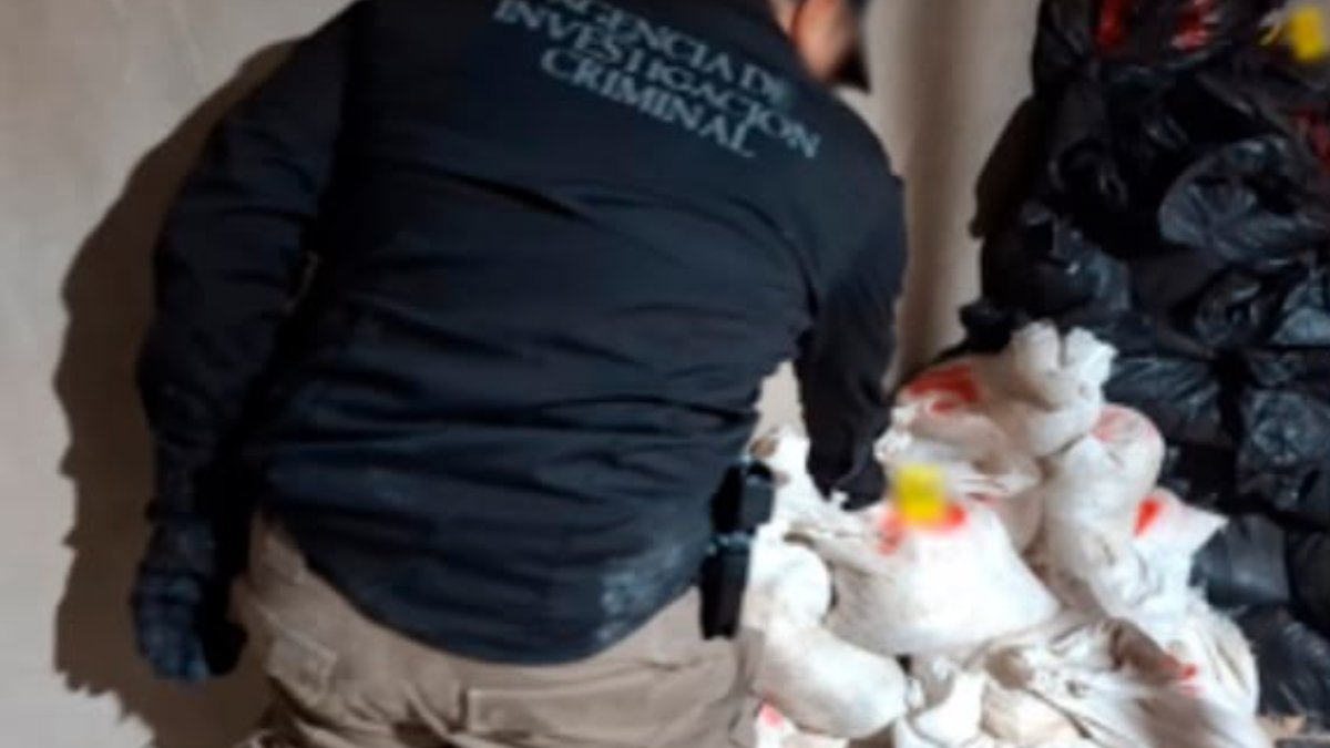 aseguran propiedad en carboneras de culiacan autoridad