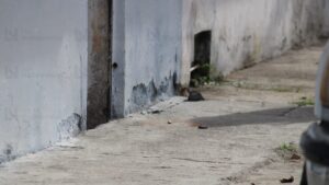 ataque armado en la ramon f iturbe en mazatlan baa