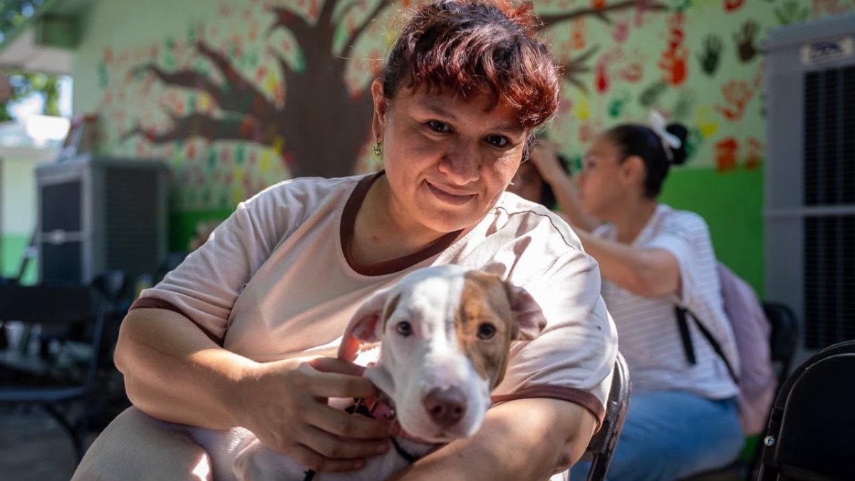 ayuntamiento de culiacan llevan servicios de salud a la colonia lazaro cardenas cachorro