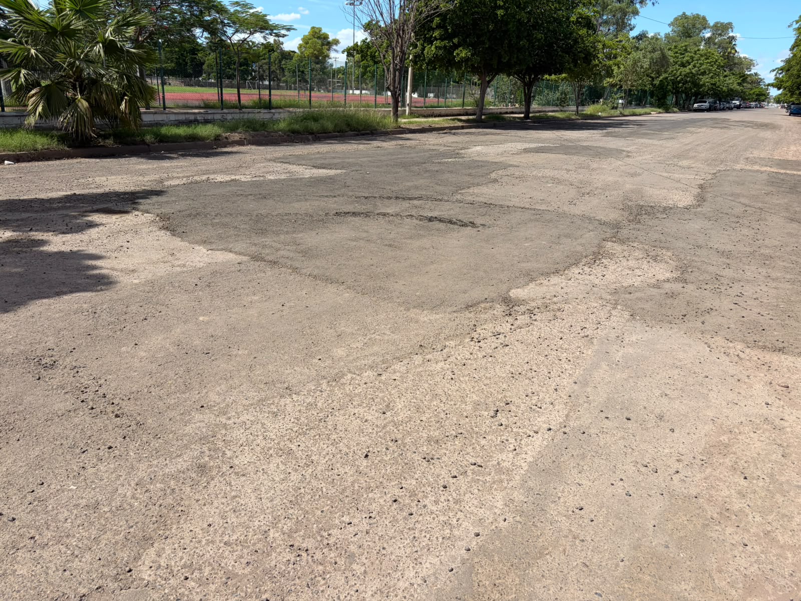 Baches en Los Mochis