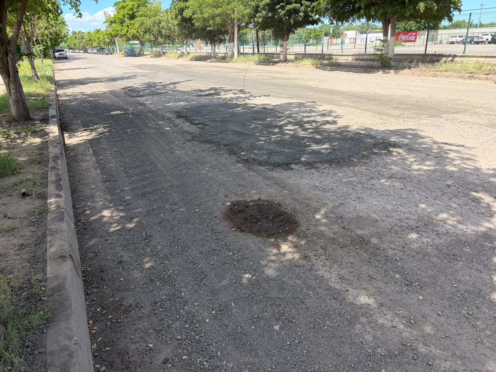 Baches en Los Mochis