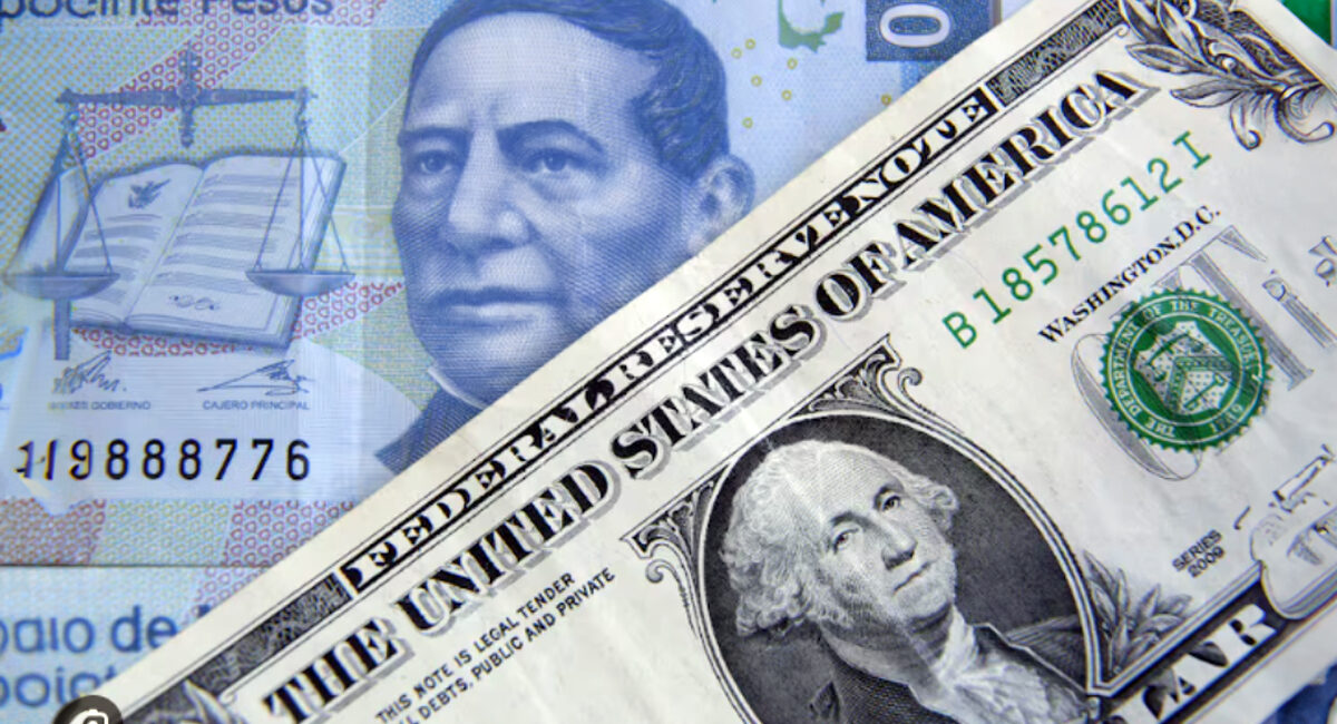 Precio del dólar | Conoce los movimientos del tipo de cambio del 12 al 16 de octubre