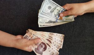 Precio del dólar | ¿Cómo se cotiza la divisa estadounidense del 26 al 30 de octubre?