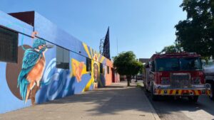 bomberos culiacan pintura