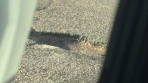 canaco alerta por deterioro de calles e infraestructura urbana de los mochis sin