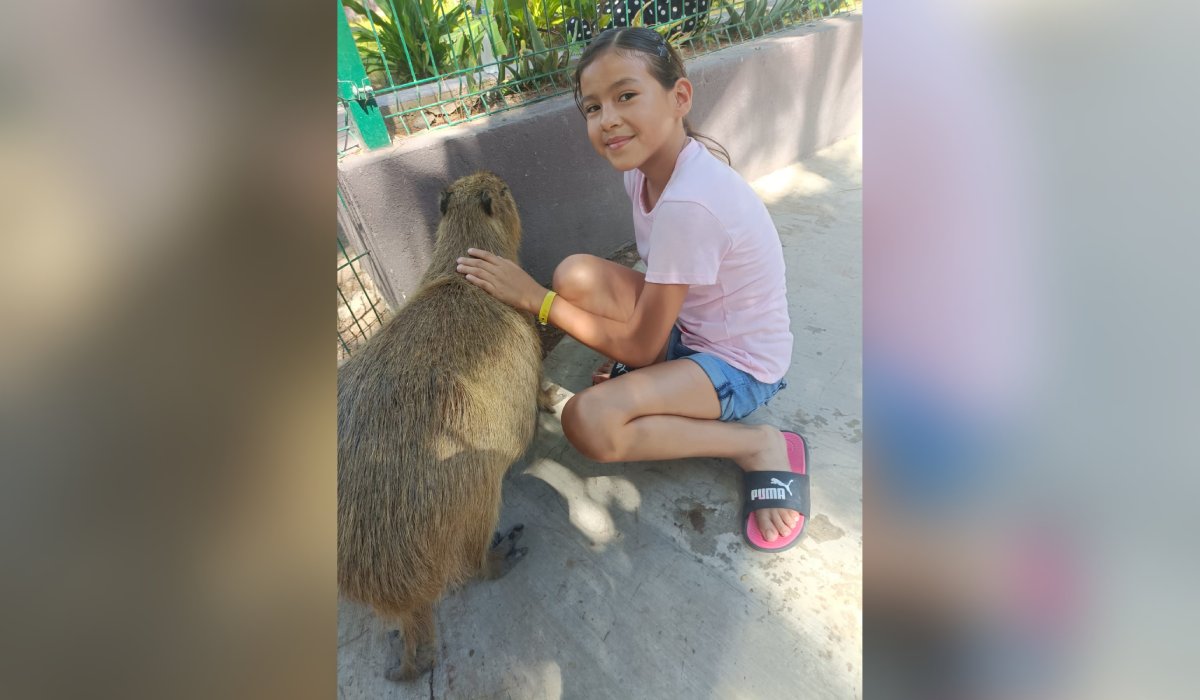 Capibara